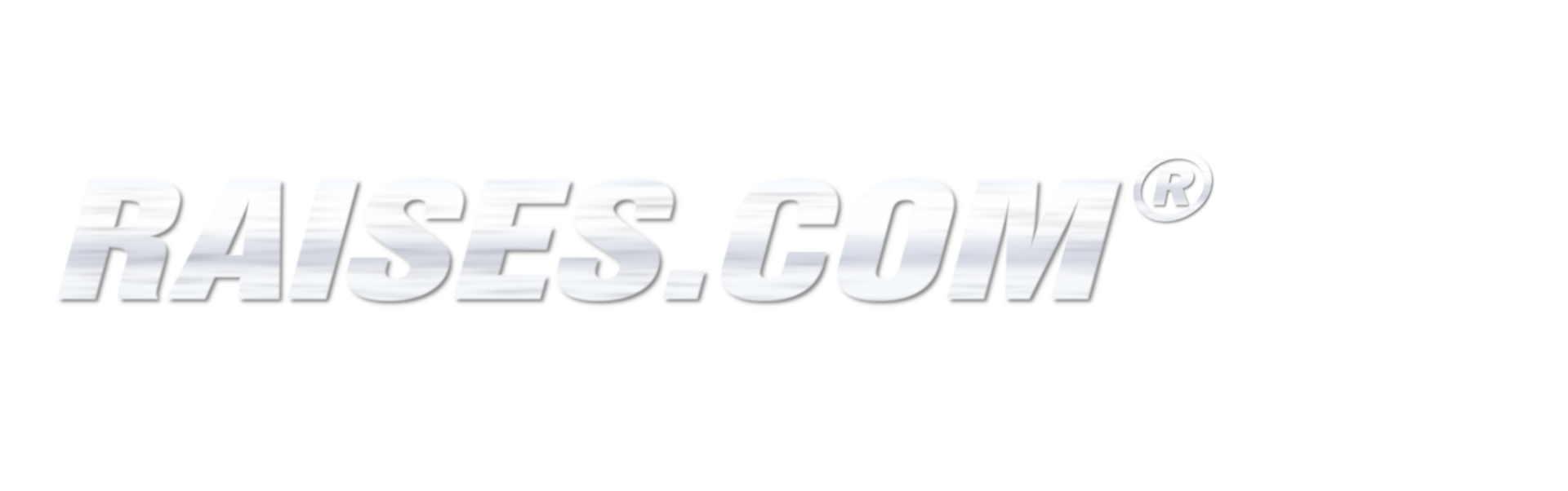 Raises.com® Wordmark